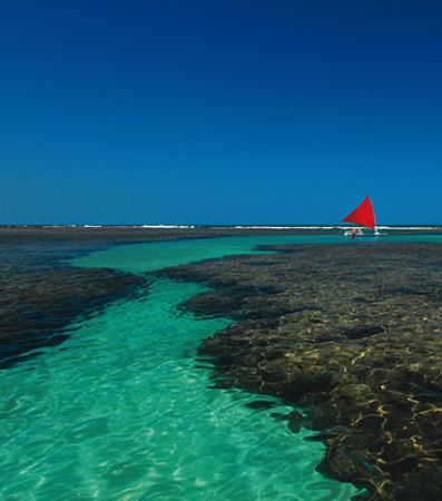 PORTO DE GALINHAS